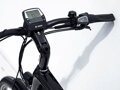 Elektrofahrrad Trek Allant+ 9 Stagger 2022 schwarz  