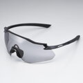 SHIMANO Brille EQUINOX4 photochrom