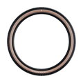 SCHWALBE Reifen RICK XC PRO (62-622) 29x2,40 Evolution 67EPI 760g Transparent TLR Speed