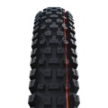 SCHWALBE Reifen ALBERT GRAVITY PRO (63-622) 29x2,50 Evolution 67EPI Radial 1330g Schwarz TLR Soft