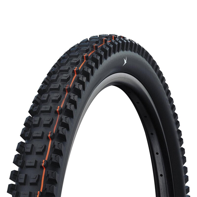 SCHWALBE Reifen ALBERT GRAVITY PRO (63-622) 29x2,50 Evolution 67EPI Radial 1330g Schwarz TLR Soft